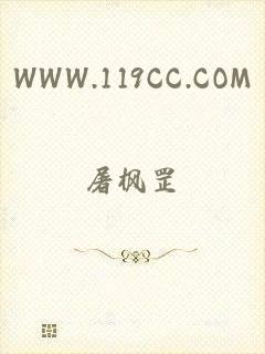 WWW.119CC.COM