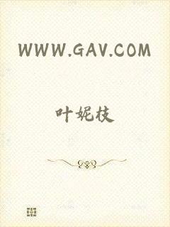 WWW.GAV.COM