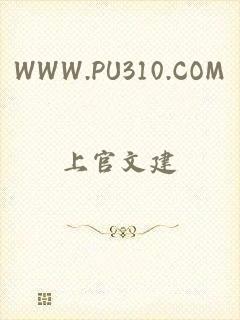 WWW.PU310.COM