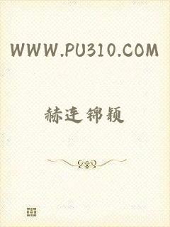 WWW.PU310.COM