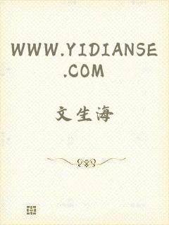 WWW.YIDIANSE.COM