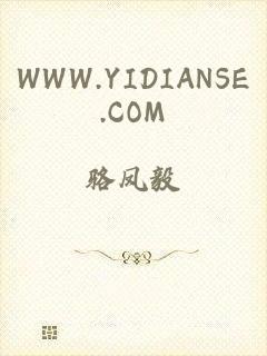 WWW.YIDIANSE.COM