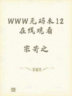 WWW无码未12在线观看