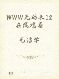 WWW无码未12在线观看