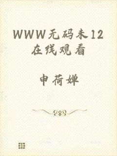 WWW无码未12在线观看