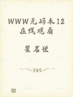 WWW无码未12在线观看