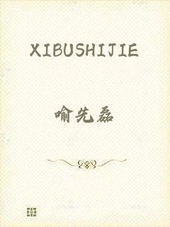 XIBUSHIJIE