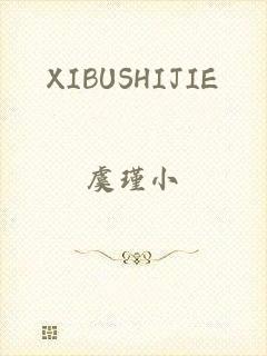 XIBUSHIJIE