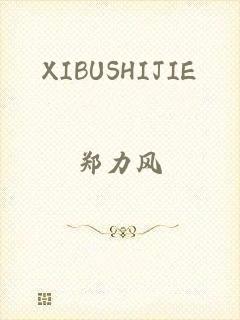 XIBUSHIJIE