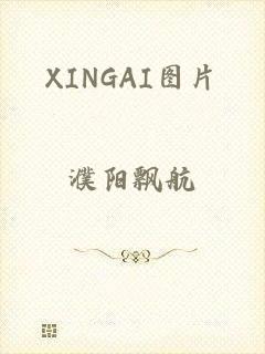 XINGAI图片