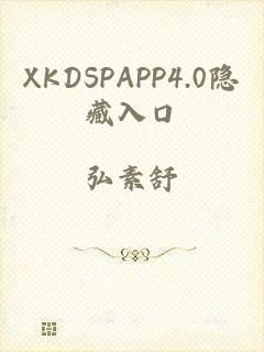 XKDSPAPP4.0隐藏入口