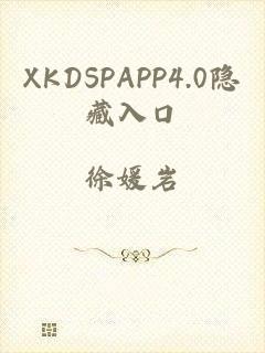 XKDSPAPP4.0隐藏入口