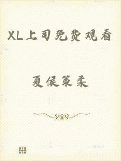 XL上司免费观看