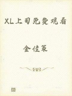 XL上司免费观看