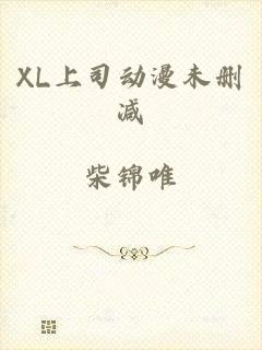 XL上司动漫未删减