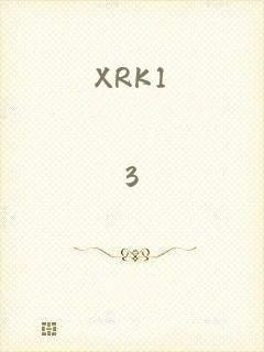 XRK1_3_0ARK202入口