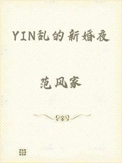 YIN乱的新婚夜