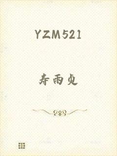 YZM521