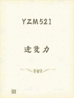 YZM521