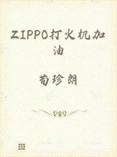 ZIPPO打火机加油