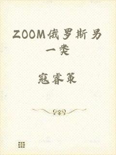 ZOOM俄罗斯另一类