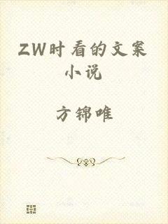 ZW时看的文案小说