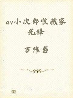 av小次郎收藏家先锋