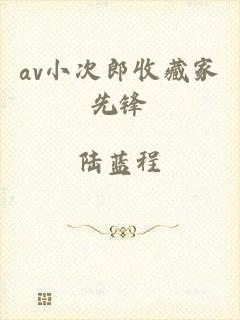 av小次郎收藏家先锋
