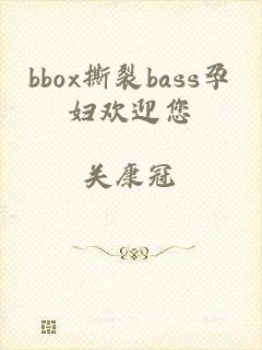 bbox撕裂bass孕妇欢迎您