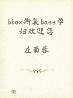 bbox撕裂bass孕妇欢迎您