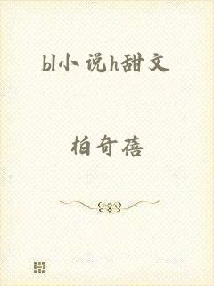 bl小说h甜文