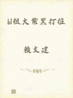 bl粗大紫黑打桩