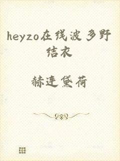 heyzo在线波多野结衣