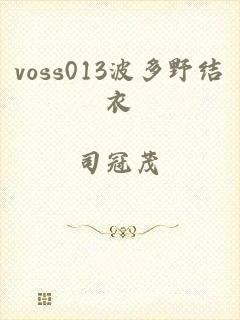 voss013波多野结衣