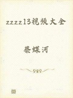 zzzz13视频大全