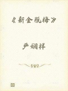 《新金瓶梅》