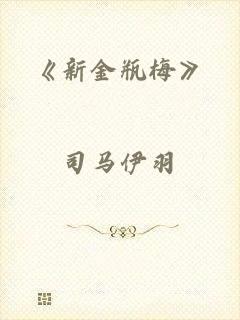 《新金瓶梅》