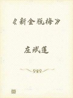 《新金瓶梅》