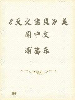 《灭火宝贝》美国中文