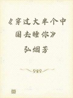《穿过大半个中国去睡你》