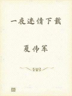 一夜迷情下载