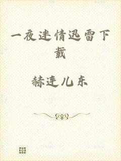 一夜迷情迅雷下载