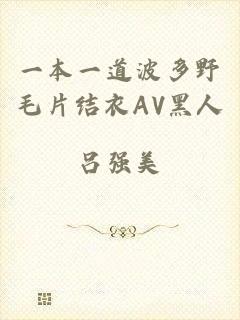 一本一道波多野毛片结衣AV黑人