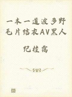 一本一道波多野毛片结衣AV黑人
