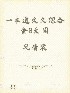 一本道久久综合金8天国