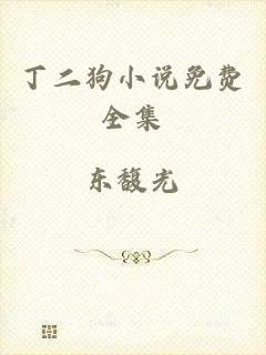 丁二狗小说免费全集