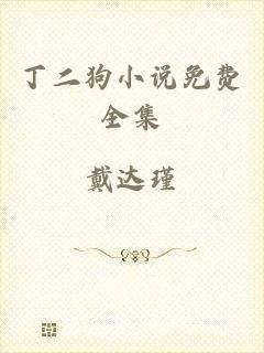 丁二狗小说免费全集
