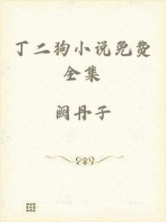 丁二狗小说免费全集