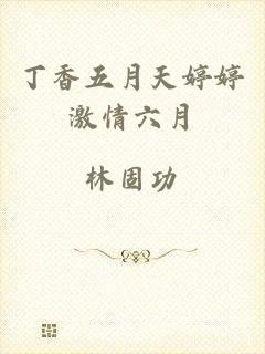 丁香五月天婷婷激情六月