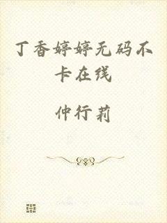 丁香婷婷无码不卡在线